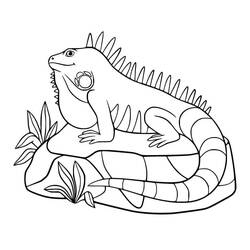 Dibujo para colorear: Iguana (Animales) #188793 - Dibujos para Colorear e Imprimir Gratis