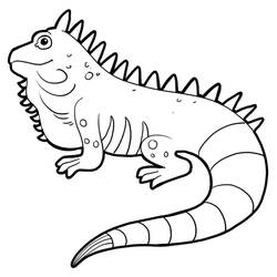 Dibujo para colorear: Iguana (Animales) #188798 - Dibujos para Colorear e Imprimir Gratis