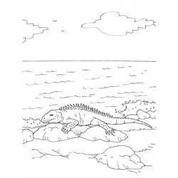 Dibujo para colorear: Iguana (Animales) #8949 - Dibujos para Colorear e Imprimir Gratis