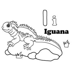 Dibujos para colorear: Iguana - Dibujos para colorear