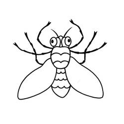 Dibujos para colorear: Insecto - Dibujos para Colorear e Imprimir Gratis