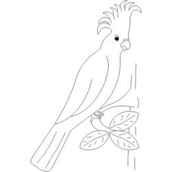 Dibujo para colorear: Ioro (Animales) #16092 - Dibujos para Colorear e Imprimir Gratis