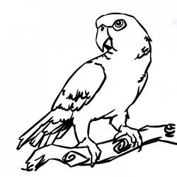 Dibujo para colorear: Ioro (Animales) #16105 - Dibujos para Colorear e Imprimir Gratis