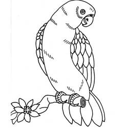 Dibujo para colorear: Ioro (Animales) #16225 - Dibujos para Colorear e Imprimir Gratis