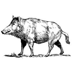 Dibujo para colorear: Jabalí (Animales) #14639 - Dibujos para Colorear e Imprimir Gratis