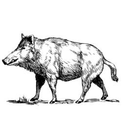 Dibujo para colorear: Jabalí (Animales) #14641 - Dibujos para Colorear e Imprimir Gratis