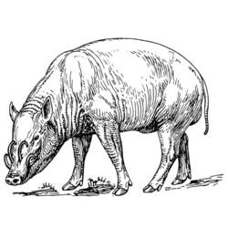 Dibujo para colorear: Jabalí (Animales) #14659 - Dibujos para Colorear e Imprimir Gratis