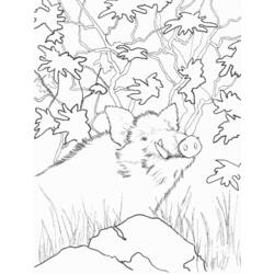 Dibujo para colorear: Jabalí (Animales) #14661 - Dibujos para Colorear e Imprimir Gratis