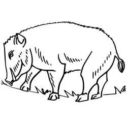 Dibujo para colorear: Jabalí (Animales) #205353 - Dibujos para Colorear e Imprimir Gratis