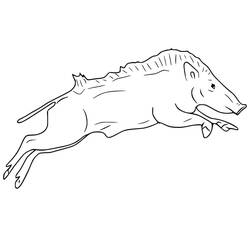 Dibujo para colorear: Jabalí (Animales) #205357 - Dibujos para Colorear e Imprimir Gratis