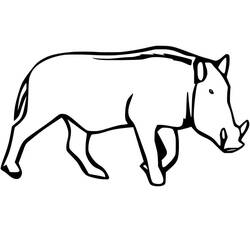 Dibujo para colorear: Jabalí (Animales) #205363 - Dibujos para Colorear e Imprimir Gratis