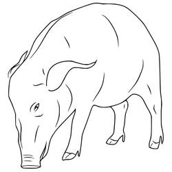 Dibujo para colorear: Jabalí (Animales) #205364 - Dibujos para Colorear e Imprimir Gratis