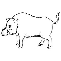 Dibujo para colorear: Jabalí (Animales) #205367 - Dibujos para Colorear e Imprimir Gratis
