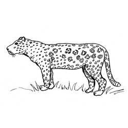 Dibujo para colorear: Jaguar (Animales) #9010 - Dibujos para Colorear e Imprimir Gratis