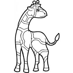 Dibujo Jirafa (Animales) #177585 para imprimir y colorear