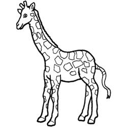 Dibujo para colorear: Jirafa (Animales) #7225 - Dibujos para Colorear e Imprimir Gratis