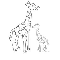Dibujo para colorear: Jirafa (Animales) #7259 - Dibujos para Colorear e Imprimir Gratis