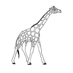 Dibujo para colorear: Jirafa (Animales) #7260 - Dibujos para Colorear e Imprimir Gratis