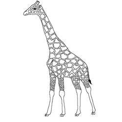 Dibujo para colorear: Jirafa (Animales) #7275 - Dibujos para Colorear e Imprimir Gratis