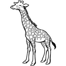 Dibujo para colorear: Jirafa (Animales) #7291 - Dibujos para Colorear e Imprimir Gratis
