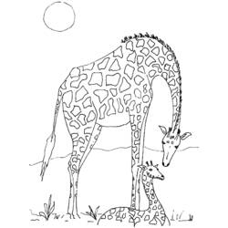Dibujo para colorear: Jirafa (Animales) #7302 - Dibujos para Colorear e Imprimir Gratis