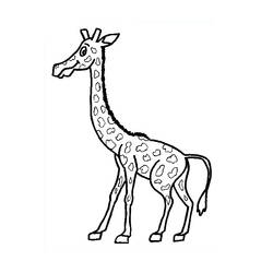 Dibujo para colorear: Jirafa (Animales) #7324 - Dibujos para Colorear e Imprimir Gratis