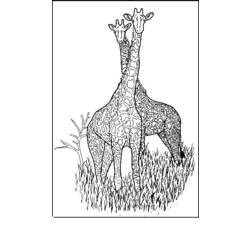 Dibujo para colorear: Jirafa (Animales) #7365 - Dibujos para Colorear e Imprimir Gratis