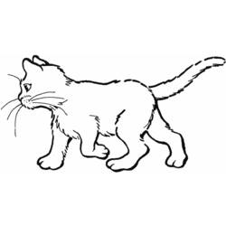 Dibujo para colorear: Kitten (Animales) #18029 - Dibujos para Colorear e Imprimir Gratis