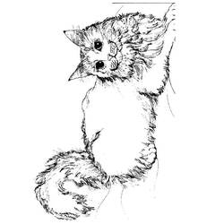 Dibujo para colorear: Kitten (Animales) #18047 - Dibujos para Colorear e Imprimir Gratis