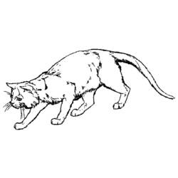 Dibujo para colorear: Kitten (Animales) #18059 - Dibujos para Colorear e Imprimir Gratis