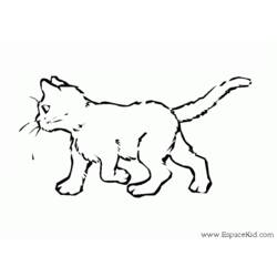 Dibujo para colorear: Kitten (Animales) #18067 - Dibujos para Colorear e Imprimir Gratis