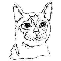 Dibujo para colorear: Kitten (Animales) #18082 - Dibujos para Colorear e Imprimir Gratis