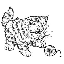 Dibujos para colorear: Kitten - Dibujos para colorear