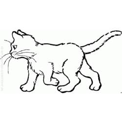 Dibujo para colorear: Kitten (Animales) #18112 - Dibujos para Colorear e Imprimir Gratis