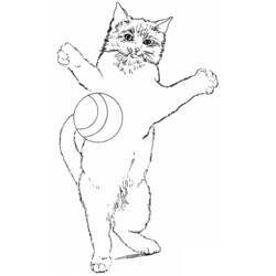 Dibujo para colorear: Kitten (Animales) #18113 - Dibujos para Colorear e Imprimir Gratis