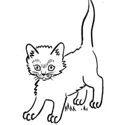 Dibujo para colorear: Kitten (Animales) #18123 - Dibujos para Colorear e Imprimir Gratis