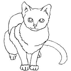 Dibujo para colorear: Kitten (Animales) #18143 - Dibujos para Colorear e Imprimir Gratis
