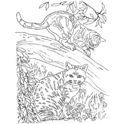 Dibujo para colorear: Kitten (Animales) #18146 - Dibujos para Colorear e Imprimir Gratis