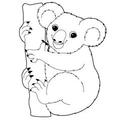 Dibujo Koala (Animales) #178762 para imprimir y colorear