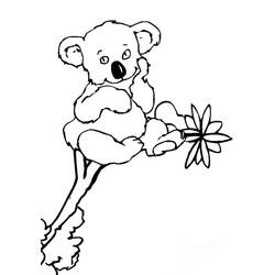 Dibujo para colorear: Koala (Animales) #9325 - Dibujos para Colorear e Imprimir Gratis