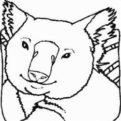 Dibujo para colorear: Koala (Animales) #9340 - Dibujos para Colorear e Imprimir Gratis