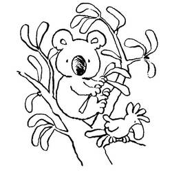 Dibujo para colorear: Koala (Animales) #9341 - Dibujos para Colorear e Imprimir Gratis