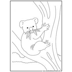 Dibujo para colorear: Koala (Animales) #9342 - Dibujos para Colorear e Imprimir Gratis