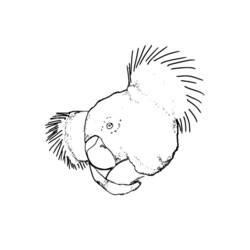 Dibujo para colorear: Koala (Animales) #9343 - Dibujos para Colorear e Imprimir Gratis