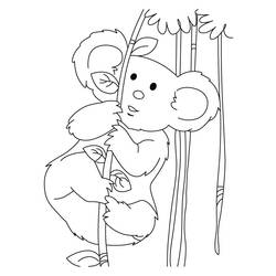 Dibujo para colorear: Koala (Animales) #9345 - Dibujos para Colorear e Imprimir Gratis