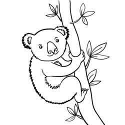 Dibujo para colorear: Koala (Animales) #9398 - Dibujos para Colorear e Imprimir Gratis