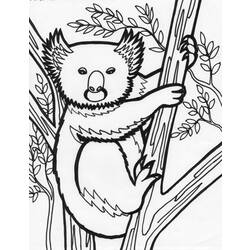 Dibujo para colorear: Koala (Animales) #9426 - Dibujos para Colorear e Imprimir Gratis