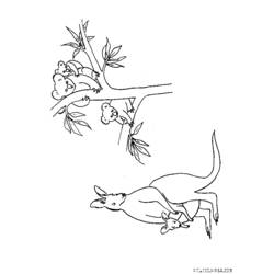 Dibujo para colorear: Koala (Animales) #9473 - Dibujos para Colorear e Imprimir Gratis