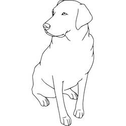 Dibujo para colorear: Labrador (Animales) #220741 - Dibujos para Colorear e Imprimir Gratis