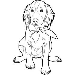 Dibujo para colorear: Labrador (Animales) #220742 - Dibujos para Colorear e Imprimir Gratis